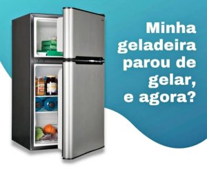 C.o.n.s.e.r.t.o.s geladeira